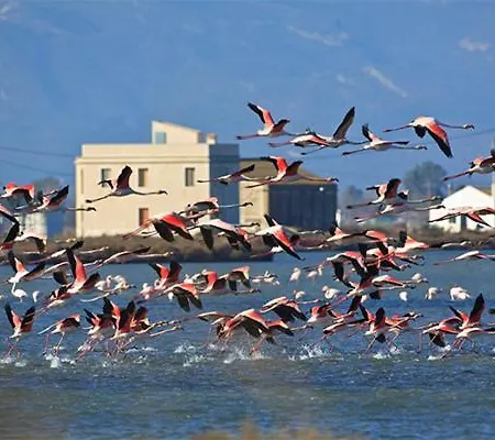 Lo Trabucador Casa Nueva En El Corazon Del Delta Holiday home